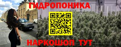 индика Ливны