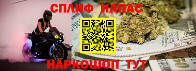 индика Ливны