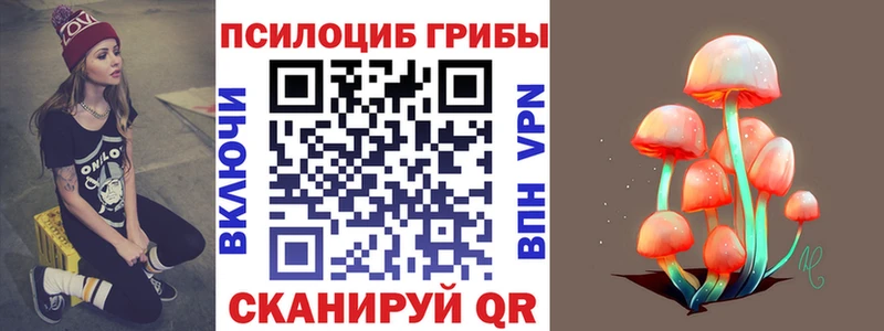 дарнет шоп  Гай  Галлюциногенные грибы ЛСД 