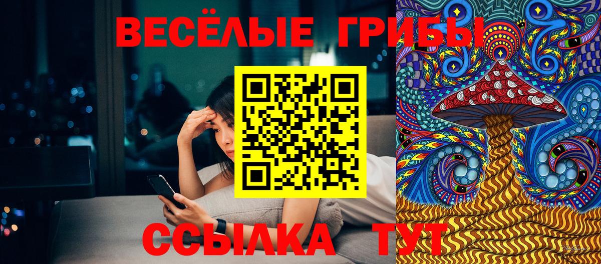Галлюциногенные грибы Cubensis  Вход с VPN  Гай 