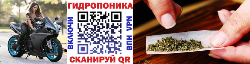 Конопля SATIVA & INDICA  Гай 